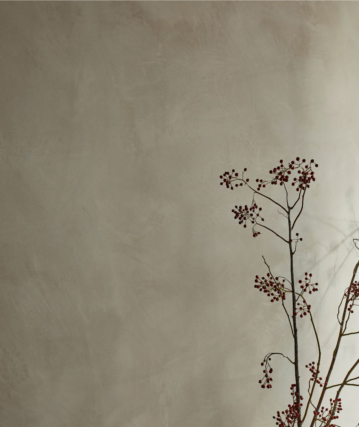 Projects Featuring Tadelakt